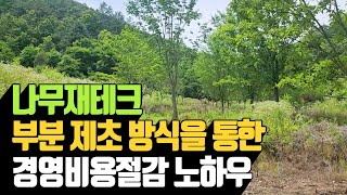 부분 제초 방식을 통한 나무재테크 경영비용절감 노하우 | 나무대장🌳 나무농사의 모든것