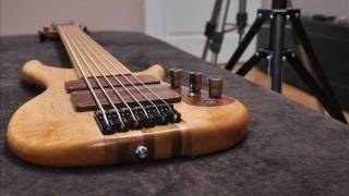 Sound test of my 6-string fretless bass guitar!