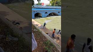 சொர்கமே என்றாலும் அட நம் ஊர போல வருமா #village #villagelife #river #villagevlog #shorts #short