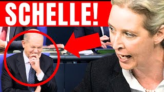 PLÖTZLICH RÜGT AFD GRINSENDEN SCHOLZ! 💥 IHM VERGEHT DAS LACHEN! 💥 AFD EKLAT GEHT ÜBERALL VIRAL!