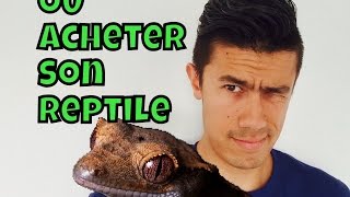 Où acheter son reptile : Éviter Les Animaleries