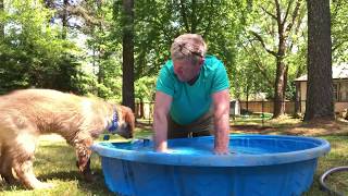 Cute puppy in a kiddie pool for the first time!