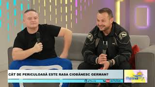 Mihai Nae a@A7 Tv - Ciobanescul German linia de lucru cu par lung (all black)