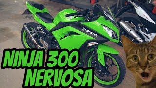 ANDEI EM UMA NINJA 300 E OLHA NO QUE DEU |MARTINS27|