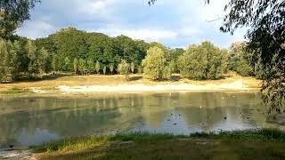 Blue Lake. Drying lake in Kyiv