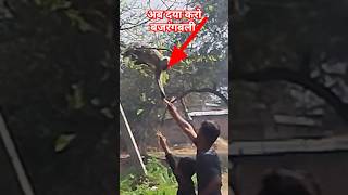 अब दया करो बजरंगबली #shortvideo #shorts #dailyvlog #बजरंगबली #trending #viral #viralvideo