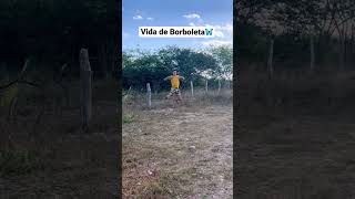 Vida de borboleta🦋