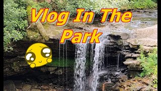 Twin Falls WV Nifty Vlog