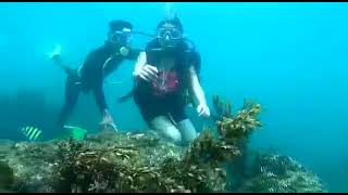 Scuba Diving in Goa at Grande island