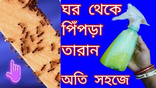 পিঁপড়ার অত্যাচারে অতিষ্ট হয়ে গেছেন আজকেই তৈরি করুন এই রেমেডি ঘর থেকে সব পিঁপড়া চলে যাবে