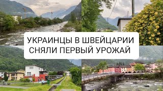 Беженцы 🇺🇦 в Швейцарии 🇨🇭 Наши будни, работа и отдых