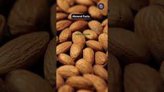 Almond Facts #shorts #facts #almond