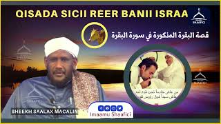 Qisadii Suuratul Baqara iyo Wiilkii Baariga U Ahaa Hooyadiis | Sh. Saalax Mucalim Abdullahi