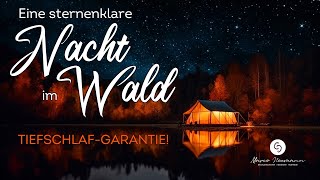 Einschlaf-Geschichte mit Tiefschlaf-Garantie! ✨ Eine Nacht im Wald mit sanften Naturgeräuschen