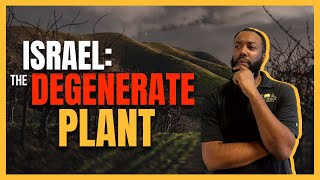 Israel: The Degenerate Plant | Sabbath Service | August 26, 2023 | Yachin Israel