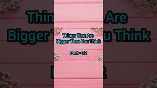 things are bigger than you think 🤔🤔#unbelievablefacts #shorts #viral