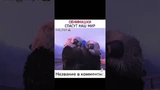 ОБНИМАШКИ СПАСУТ НАШ МИР🥰#shorts