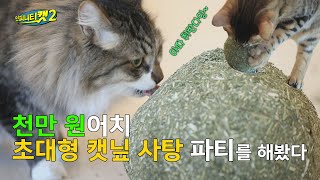 [ENG] 마! 너 캣닢 중독이다!ㅣ대왕 캣닢 사탕 만들기ㅣ인피니티캣2 4화