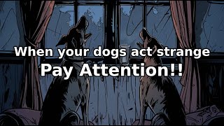 When your dogs act strange, Pay Attention! They may sense something | True Horror Story  From Reddit