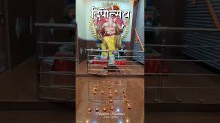 आज त्रिपुरारी पौर्णिमा निमित्त श्री मानाचा नवसाचा सिद्धगणेश गणपती..🙏 #shortvideo