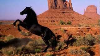 Only Horses!! Deep Water - Ticket To Ride (HD)