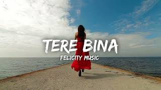 Tere Bina Song  | Tezz | Ajay Devgan & Kangna Ranaut | Rahat Fateh Ali Khan | Felicity Music