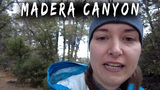 HIKING IN ARIZONA'S BEAUTIFUL MADERA CANYON