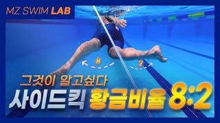 사이드킥 대체 왜 연습해야하나요? 지금 알려드리겠습니다.[SWIM LAB - 06]