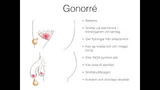 Könssjukdomar - del 1