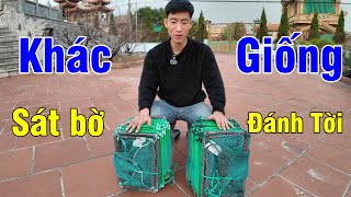 Video số 188 | Sự Giống Và Khác Nhau Giữa Lồng Cước Đúc Đánh Sát Bờ Và Đánh Tời...