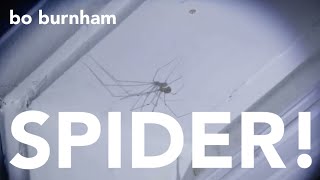 Bo Burnham - SPIDER! (Hiding In The Corner)