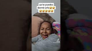 No dejan dormir!