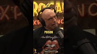 JOE ROGAN and STEVE STROPE on rats #joerogan #jre #shorts #viral #trending