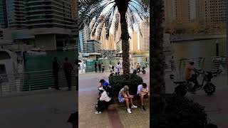 The mornings of Dubai marina JBR #newshorts #trending #dubaimarina