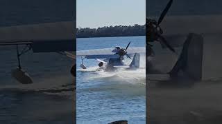 Seaplane takes off from Tavares Florida! 1-20-24