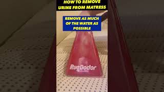 #shorts  How to remove urine from a mattress