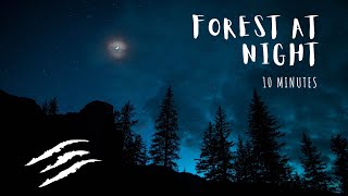 Forest at Night - 10 Minutes Nature Sounds - Wolf, Owl, Cougar & Coyotes