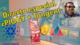 Directo Especial! AMA cPIGGY + Tangent protocol + útimas novedades Cardano