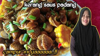 resep masak kerang dara saus padang