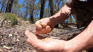 A GOLDEN DAY PROSPECTING WITH A MATE. (Episode 67)