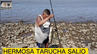 SEGUIMOS CON LA PESCA EN LA PLAYITA DE OLIVOS ,SE DIO LINDA VARIADA CARPA, SABALO, BAGRE,PATI ,TARU