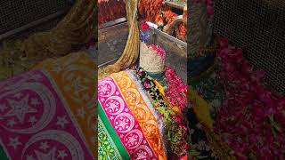 Mira datar dargah Urs stetus|whatsapp qawwali status|2024new qawwali|Famous qawwali|mira data