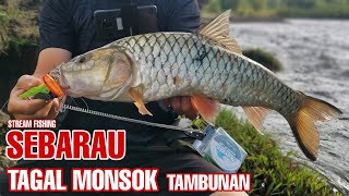 Stream Fishing Malaysia || Sungai Tagal Kuala Monsok Tambunan