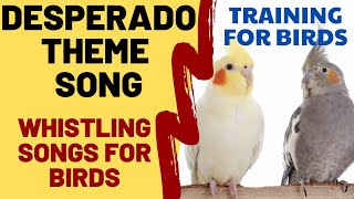 DESPERADO with Whistling - Whistling Songs for Bird, Cockatiel, Parrot, Budgie