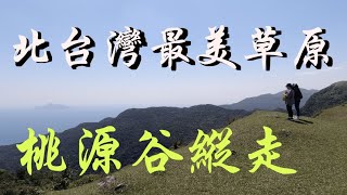 【郊山步道 | 桃源谷】北台灣最美草原 絕美秘境山海一線間