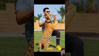 #tiger #animals #trending #shorts #animallover