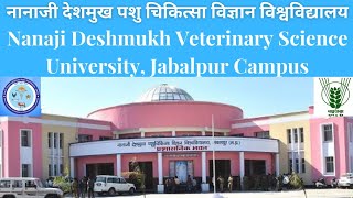 NANAJI DESHMUKH VETERINARY SCIENCE UNIVERSITY, JABALPUR | NDVSU JABALPUR CAMPUS DOCUMENTARY, MP PVFT