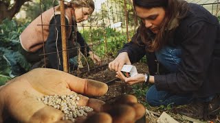 Siembra de CULTIVOS DE PRIMAVERA -  y la MEJOR receta de conejo