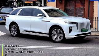 Chinese luxury SUV