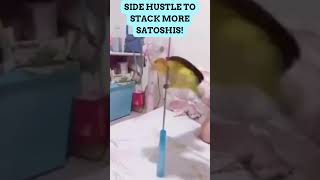 SIDE HUSTLE TO STACK MORE SATOSHIS!